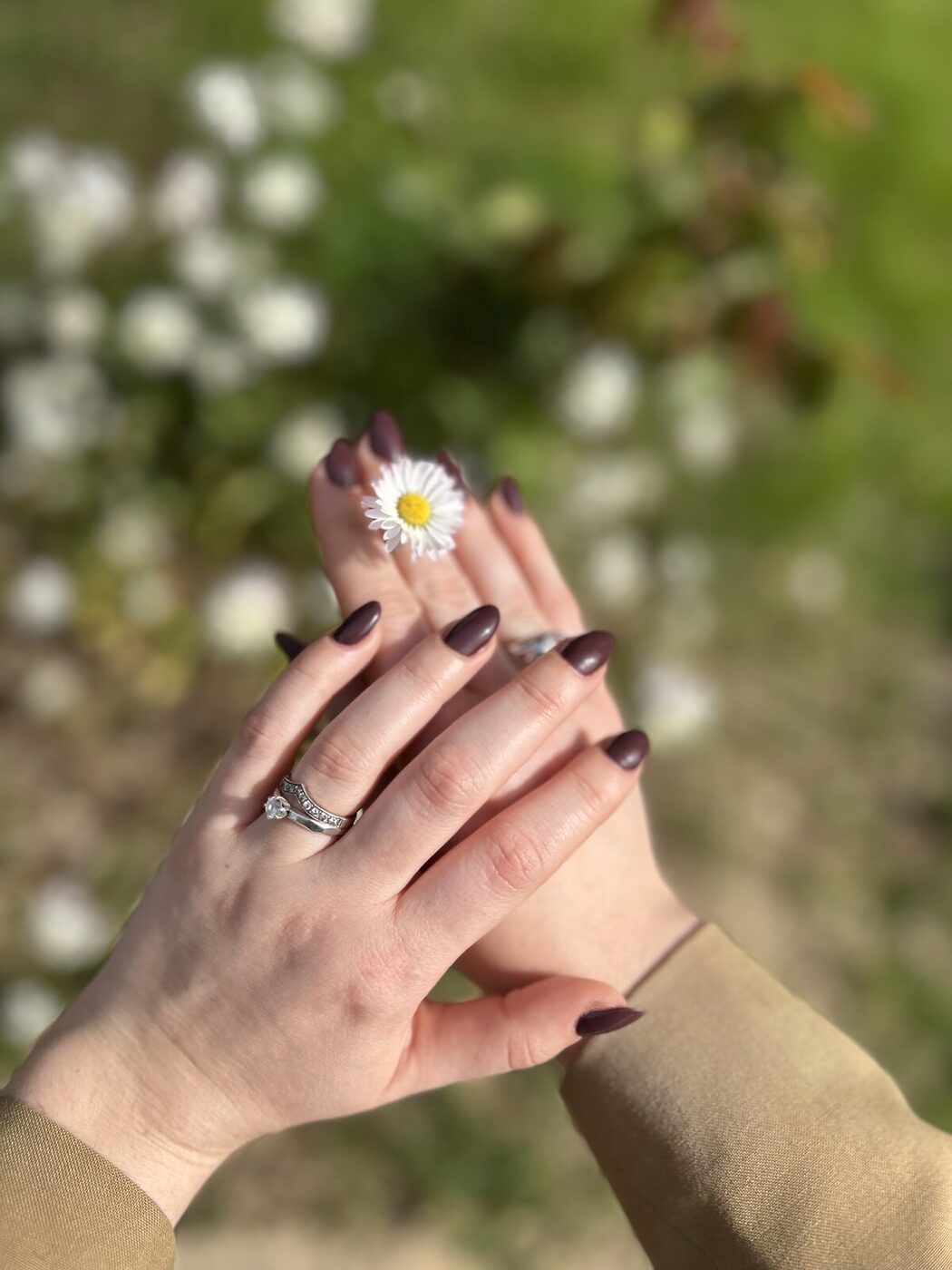 Manicura y pedicura en Castellón en SPAmy Castellón